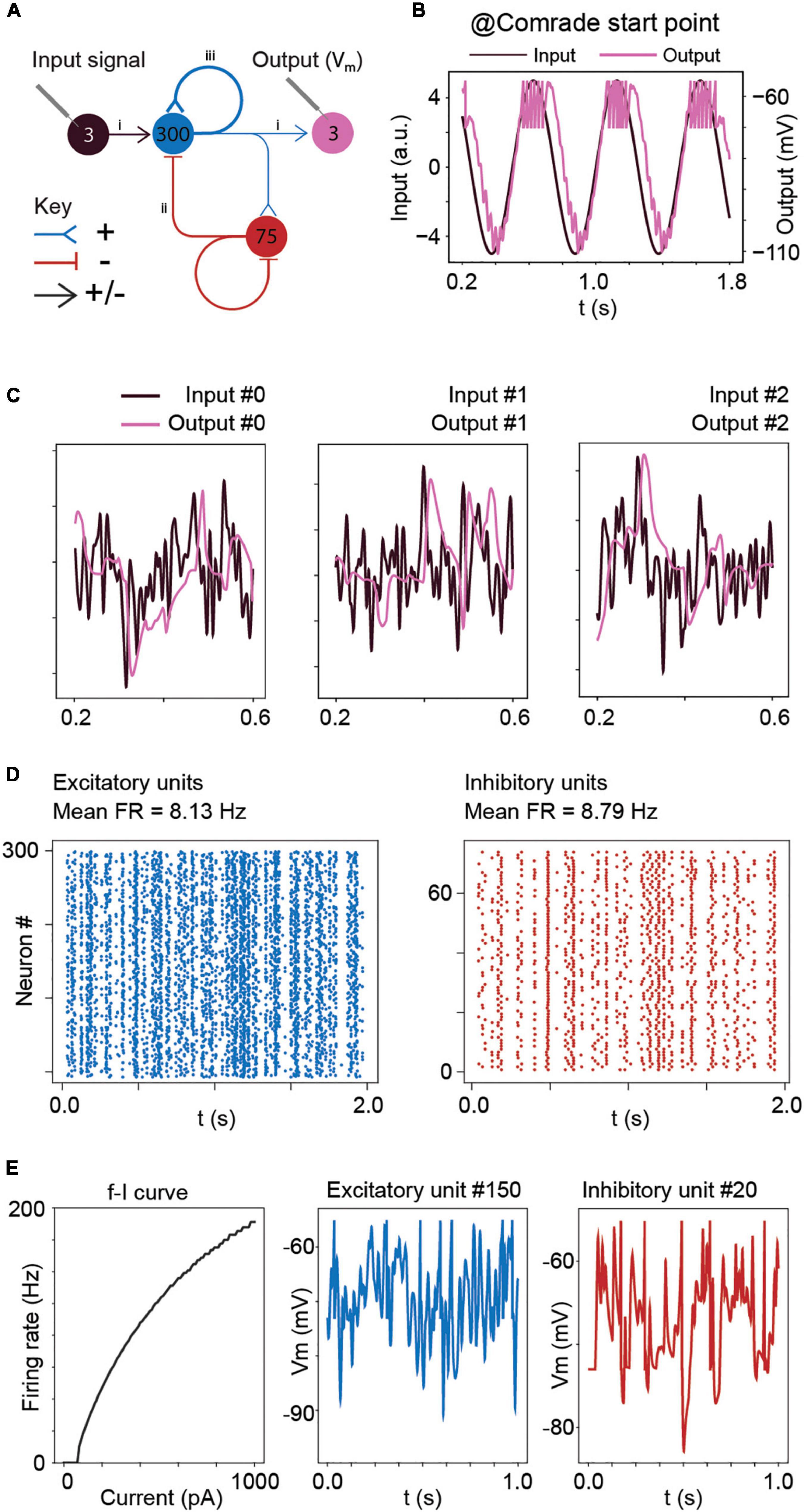 Biophysical parameters control signal transfer in spiking network